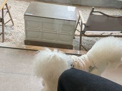 -J Create城市露营咖啡·简餐·宠物(上海动物园店)