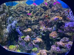 -欢乐海岸海洋奇梦馆
