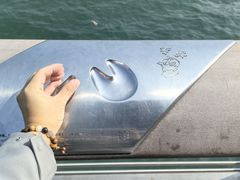 -星光大道
