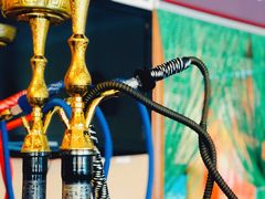 -Sultan pakistan苏单巴基斯坦