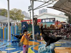 -海合安成都极地海洋公园