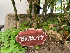 -个园