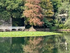 -荔枝公园(福田区)