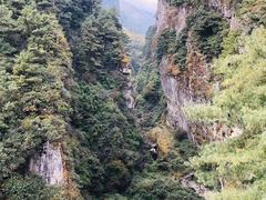 -苍山感通索道