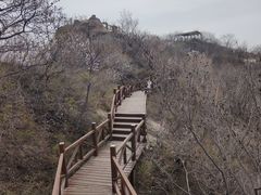 -大岭沟猕猴桃谷风景区