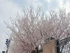 -新世界小天星幼儿园(尚景园)