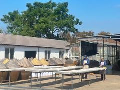 -苏州市吴中区光福窑上花果蜜饯厂