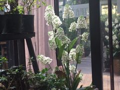 -新竹里馆·花园餐厅(兴苑路店)