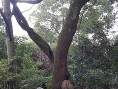-绮园景区