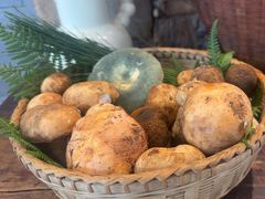-滇铺子·云南特色菜·鲜花野菜季(曲靖万达店)