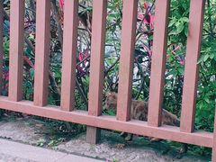 -晓港公园