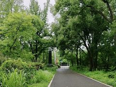 -青龙山国家森林公园