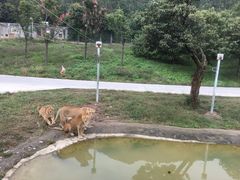-西安秦岭野生动物园