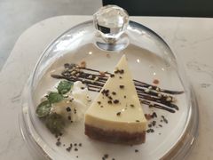 -飞行喵MR PILOT|猫舍·猫咖(静安大融城店)