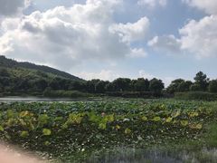 -苏州环秀晓筑养生度假村