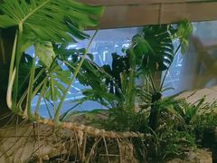 -见康道莱•足浴按摩•艾灸•SPA(友谊店)