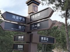 -红山国家森林公园