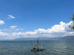 -大理洱海