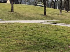 -白石龙音乐公园