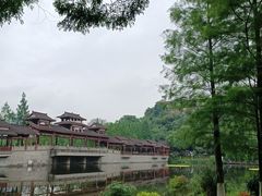 -重庆彩云湖湿地公园