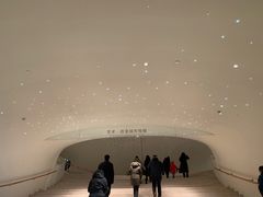 -哈尔滨大剧院