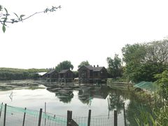 -同里国家湿地公园