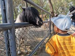 -长白岛森林公园
