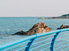 -小麦岛公园