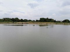 -梁鸿国家湿地公园