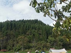 -武陵山森林公园