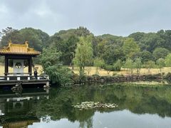 -太湖饭店·寄畅轩中餐厅