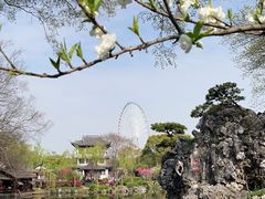 -无锡蠡湖国家湿地公园-蠡园