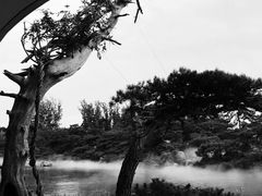 -罗红摄影艺术馆