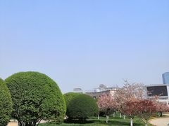 -泉城广场