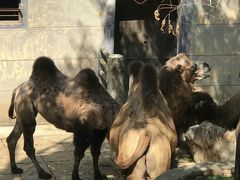 -昆明动物园