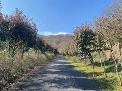 -石塘人家