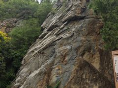 -北京鹫峰国家森林公园