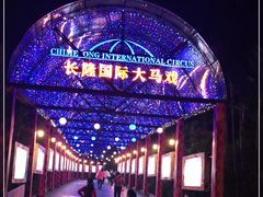 -广州长隆国际大马戏