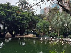 -九龙公园