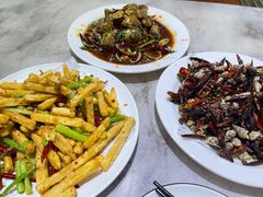 -小海丁