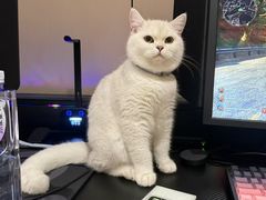 -嘉馨宠物医院·CT影像转诊·心脏科·犬猫全科诊疗中心(下沙大学城院区)