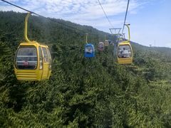 -摩天岭风景区