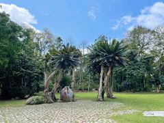 -中国科学院西双版纳热带植物园