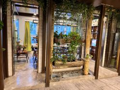 -青青一生美皮肤管理