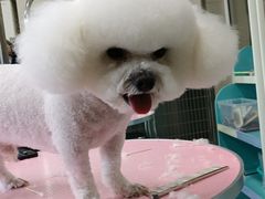 -北京观赏动物医院·24小时大型综合·猫专科·异宠专科