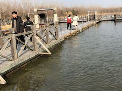 -溱湖国家湿地公园