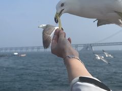 -星海广场