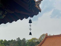 -圆通禅寺