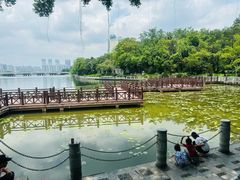 -南宁南湖公园