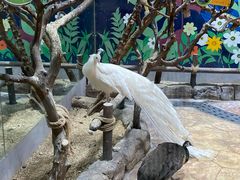 -海合安青岛极地海洋公园